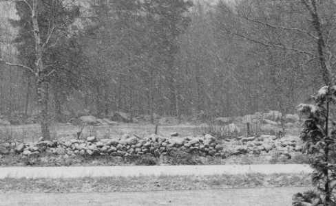 To simulate snow storms in movies and television programs.